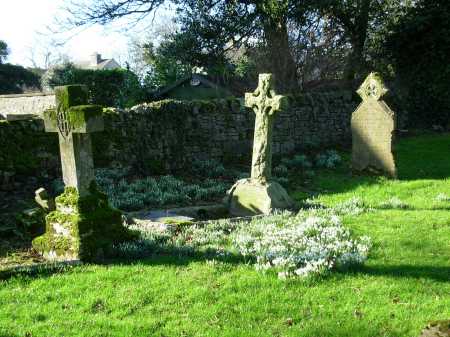 But None Do There Embrace